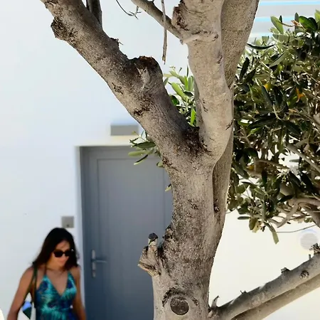 מלון דירות Votsalaki Mykonos Boutique פרדייז ביץ'